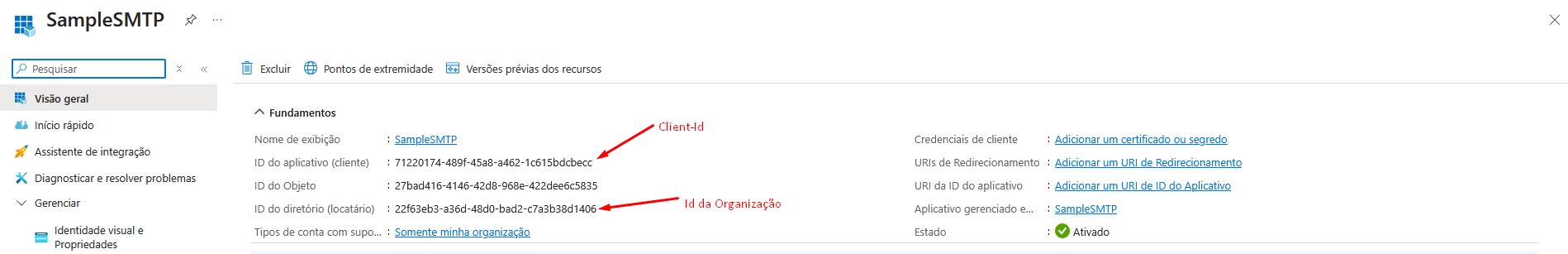 E-mail OAuth2 Credenciais Cliend ID e ID Organização